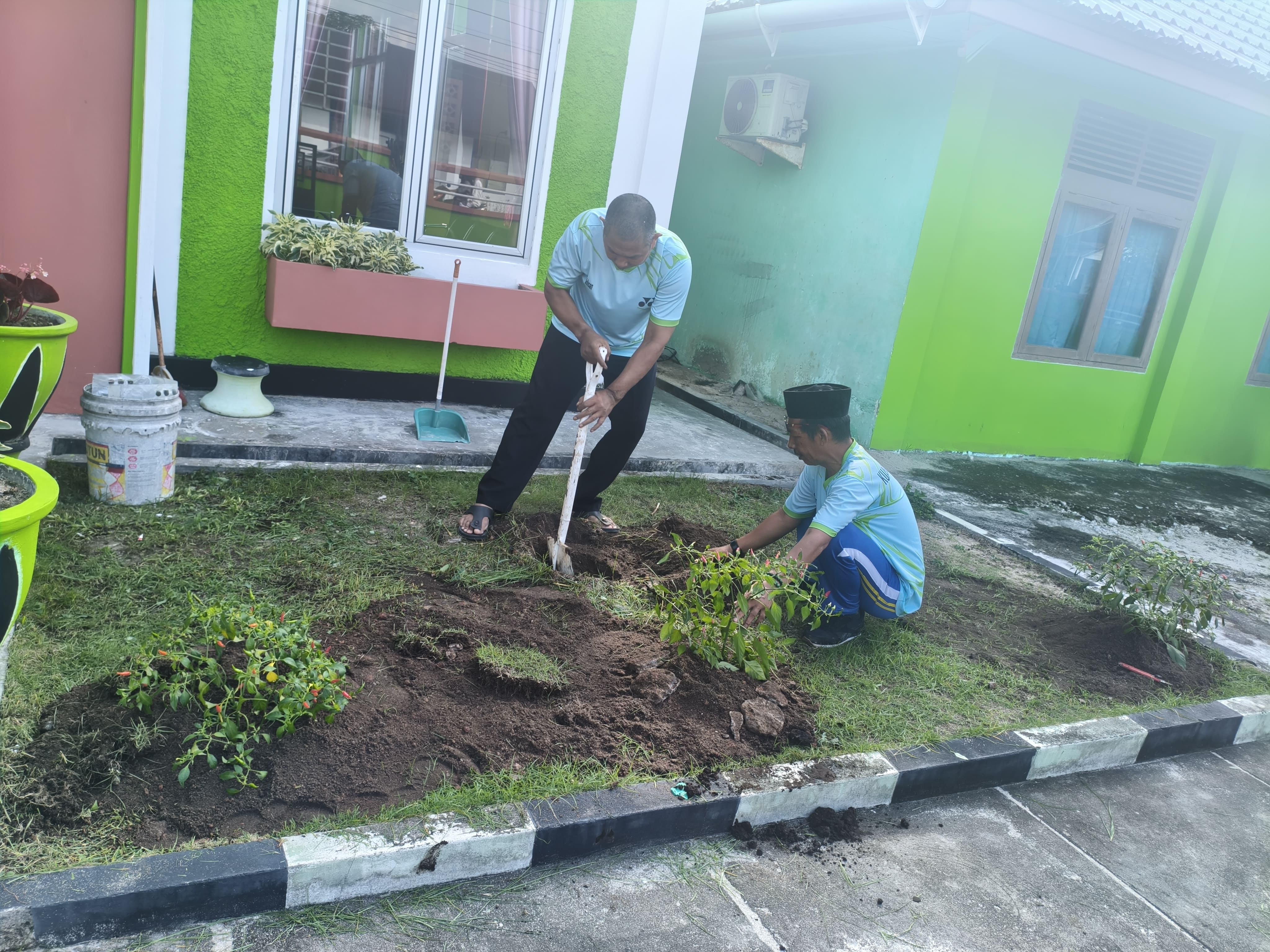 Wujudkan Keberlanjutan Pangan Mandiri, KUA Bunguran Timur Sulap Taman Mini Kantor Jadi Kebun Cabai Produktif