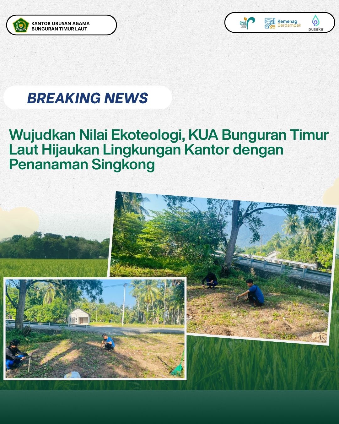 Wujudkan Nilai Ekoteologi, KUA Bunguran Timur Laut Hijaukan Lingkungan Kantor Dengan Penanaman Singkong