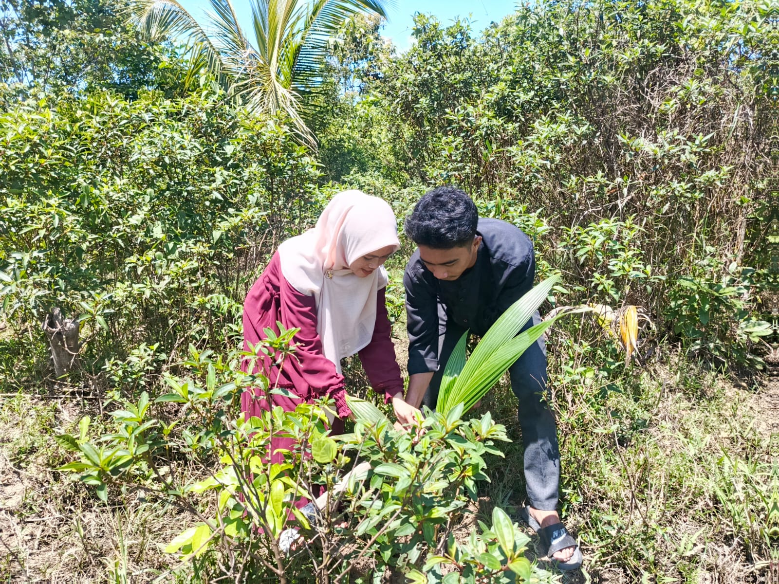 Dukung Inovasi Menag KH.Nasaruddin Umar,KUA Bunguran Utara Fokus Tingkatkan Kepedulian Lingkungan Lewat Gerakan "Catin Berwakaf"